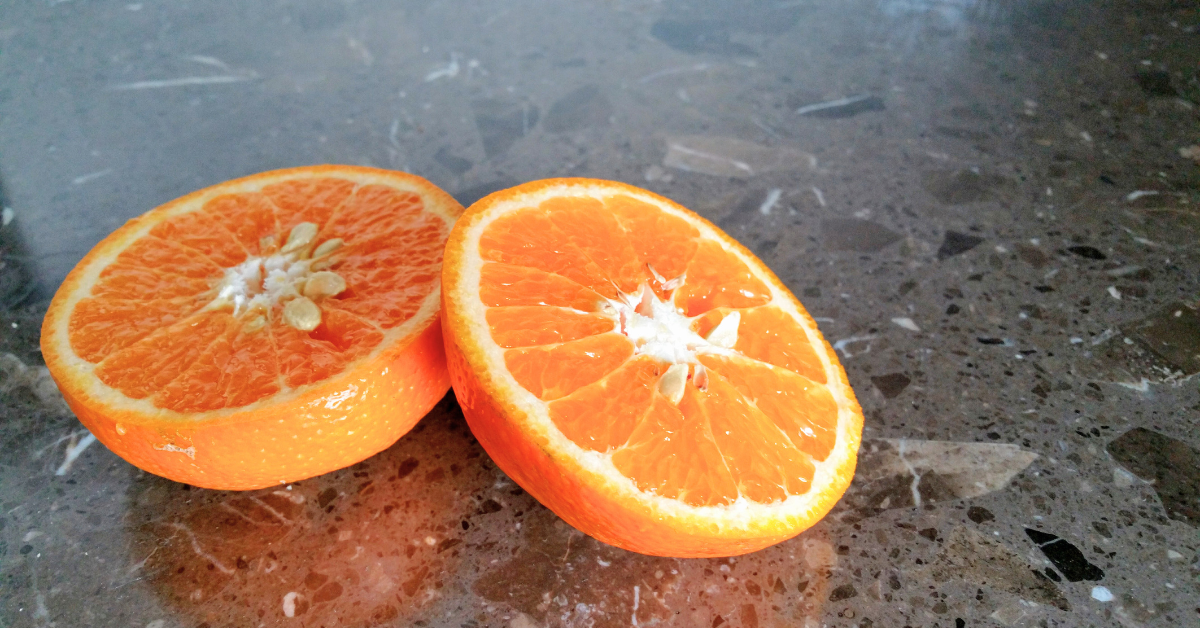 how to germinate an orange seed