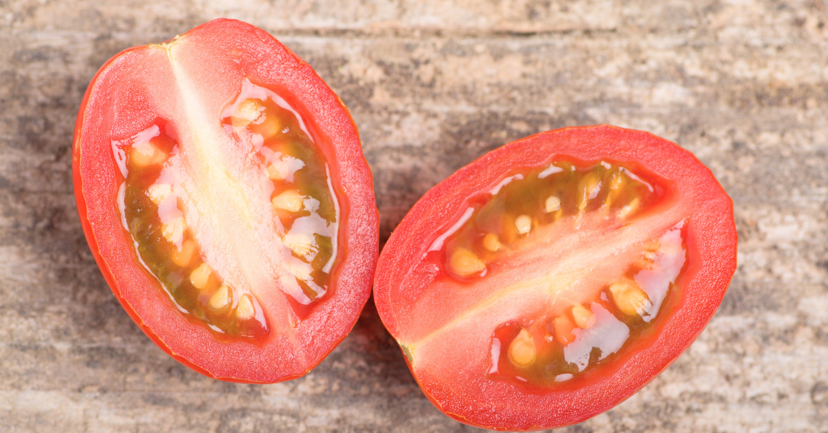 how to save tomato seeds